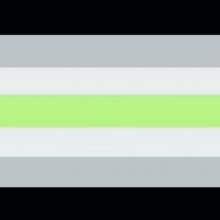 agender_flagge.jpg